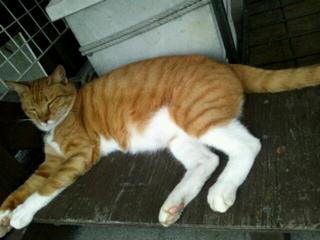 20111001_013009.jpg
