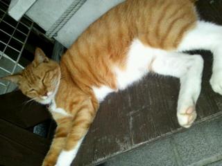 20111001_013051.jpg