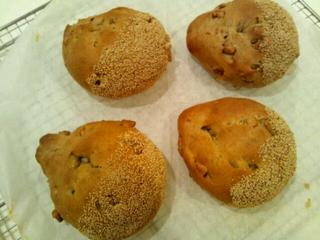 20111008_095127.jpg
