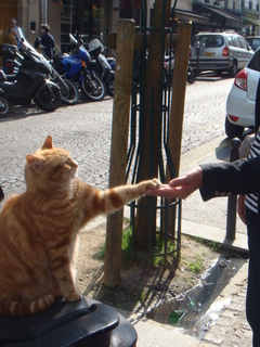 DSC07082.JPG