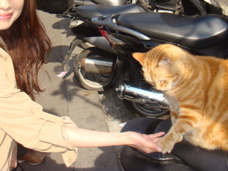 DSC07083.JPG