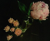 200906092001000.jpg