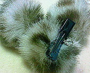 200908292359000.jpg