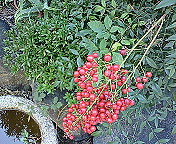 200910291128001.jpg